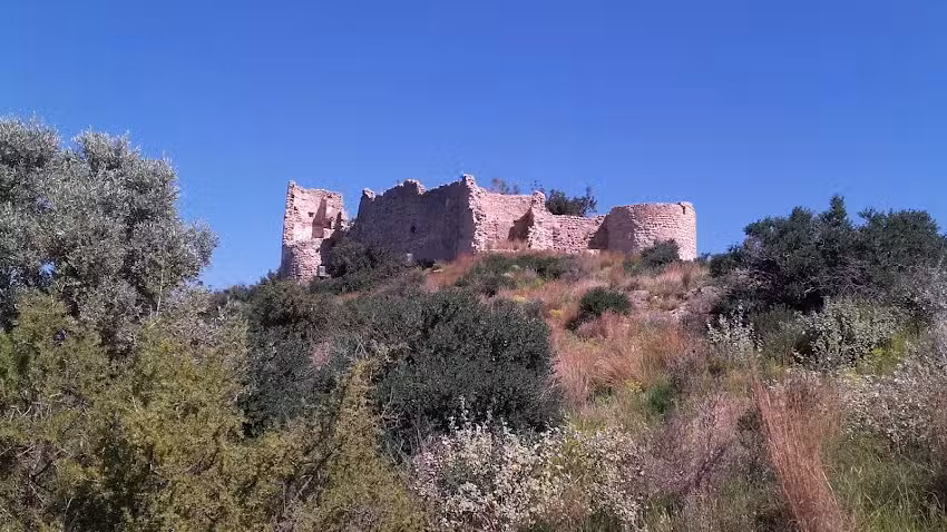 Agora