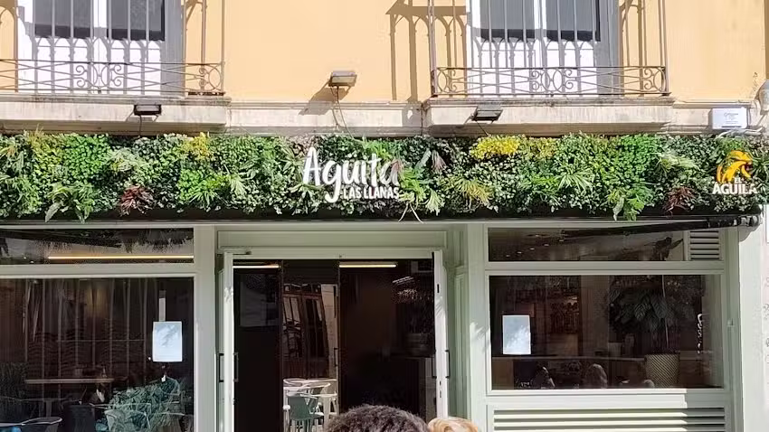 Ag&uuml;ita Las Llanas