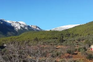 Aldea Majada Carrasca, Yeste