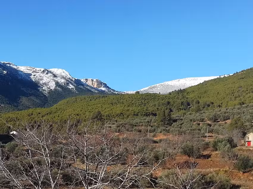 Aldea Majada Carrasca, Yeste