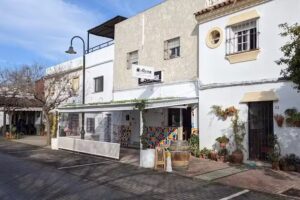 Alucina Arrocer&iacute;a