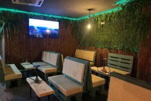 Amazonia puertollano