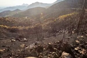 Ana María Abellán Ballester