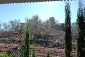 Antigua venta el chorizo