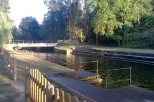 &Aacute;rea Recreativa A Cobeluda