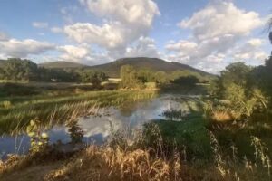 Area Recreativa Los Ejidos