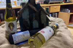 Arena Vibes camping bar