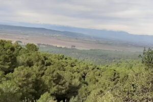 Ateneu Popular Sebasti&agrave; Salelles