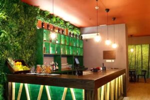 Bambú Costa Ballena