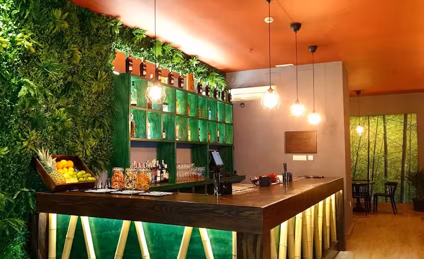 Bamb&uacute; Costa Ballena