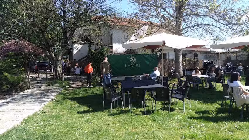 Bamb&uacute; Terraza