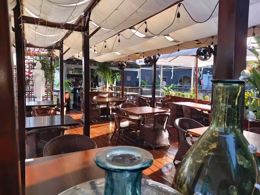 Banana Club Mallorca | #1 Party Experience in the North