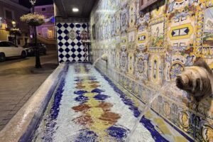 Bar Bonico del T&oacute;