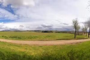 Bar Cafeter&iacute;a Hogar Del mayor