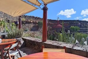 Bar & Cafeter&iacute;a &ndash; Jard&iacute;n De Cactus