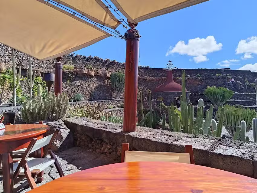 Bar & Cafeter&iacute;a &ndash; Jard&iacute;n De Cactus