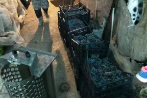 Bar Cafeter&iacute;a Las Rosetas