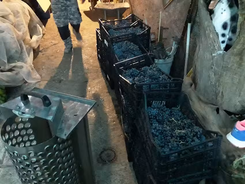 Bar Cafeter&iacute;a Las Rosetas