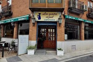 Bar cafeter&iacute;a latina La Gata Azul