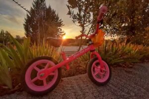 Bar Camping San Juan