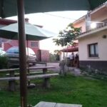 Bar Casa Adolfo