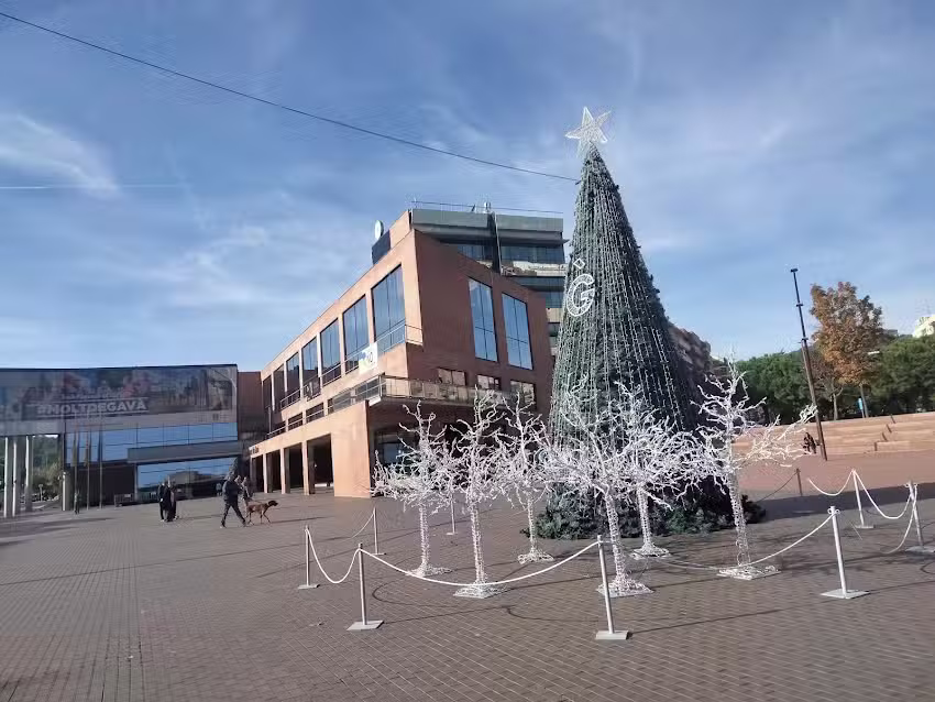 Bar Cerveceria Plaza Balmes