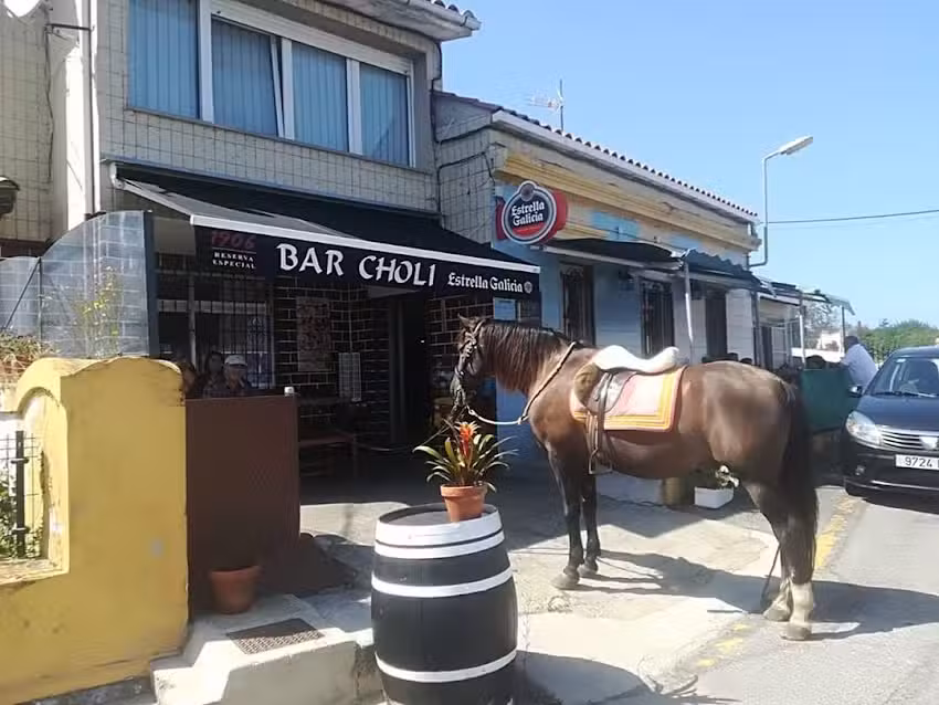 Bar Choli