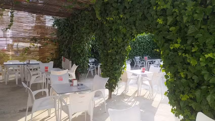 Bar Conejo