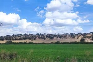 Bar de Castillejo de Salvatierra