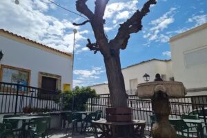 Bar de la Tercera Edad