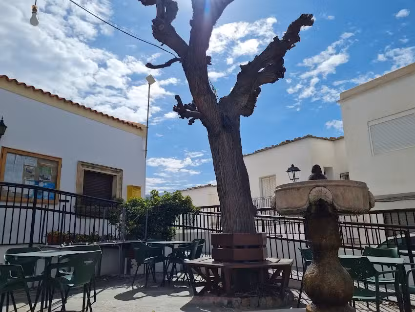 Bar de la Tercera Edad