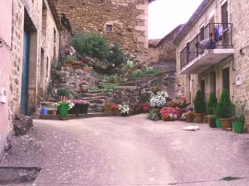 Bar de Moncalvillo