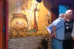 Bar &laquo;Druida&raquo;