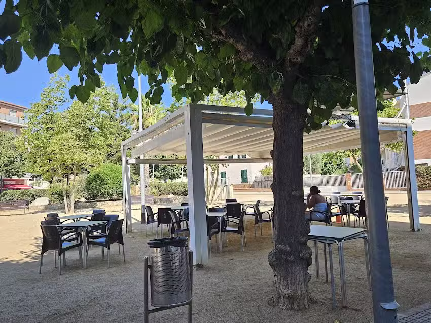 Bar El D&iacute;a a D&iacute;a