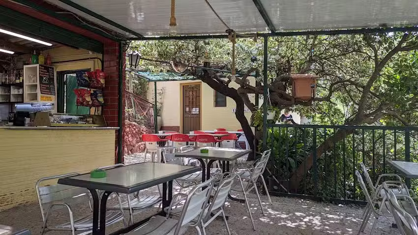 Bar el Rinc&oacute;n