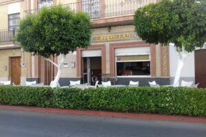 Bar El Rinc&oacute;n Der Kin