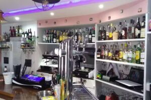 Bar El Surtidor Sar&oacute;n