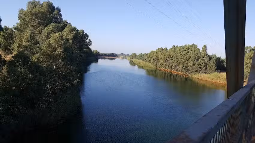 bar el trucha