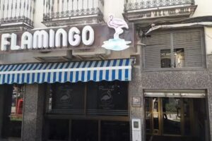 Bar Flamingo