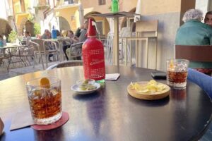 Bar font de dins (Druida bar)