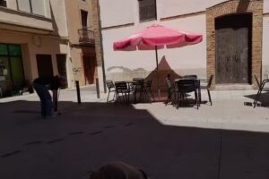 Bar frankfurt Angels