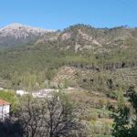 Bar Herreros