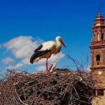 Bar Hogar del jubilado