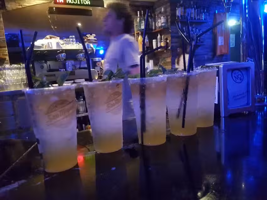 Bar Iguana