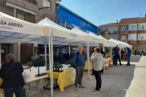 Bar Jubilados de Abárzuza