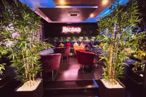 Bar La Bocana Humanes