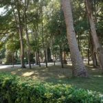 Bar La Madre&ntilde;a