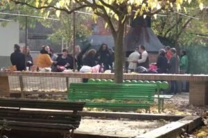 Bar Merendero Rub&iacute;