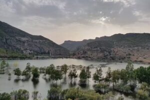 Bar Molino Puerto. Zona Recreativa/Torraderos/Merenderos