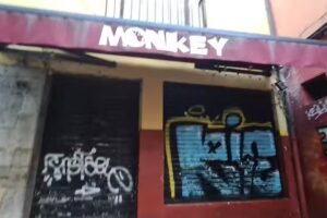 Bar Monkey